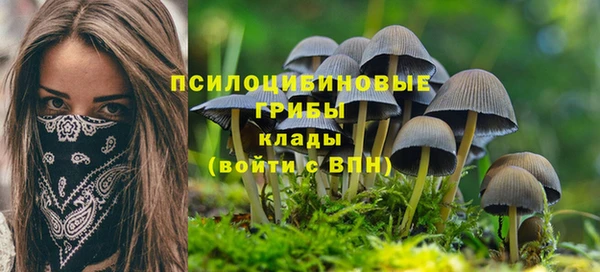 прущие крисы Навашино