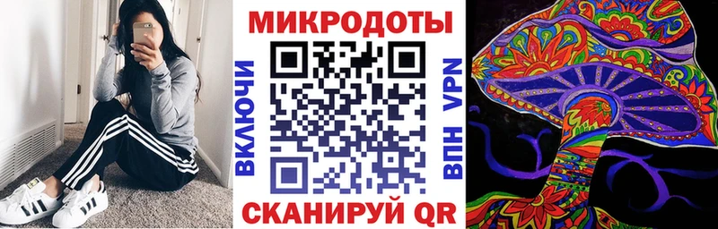 даркнет состав  Терек  Псилоцибиновые грибы Psilocybe 